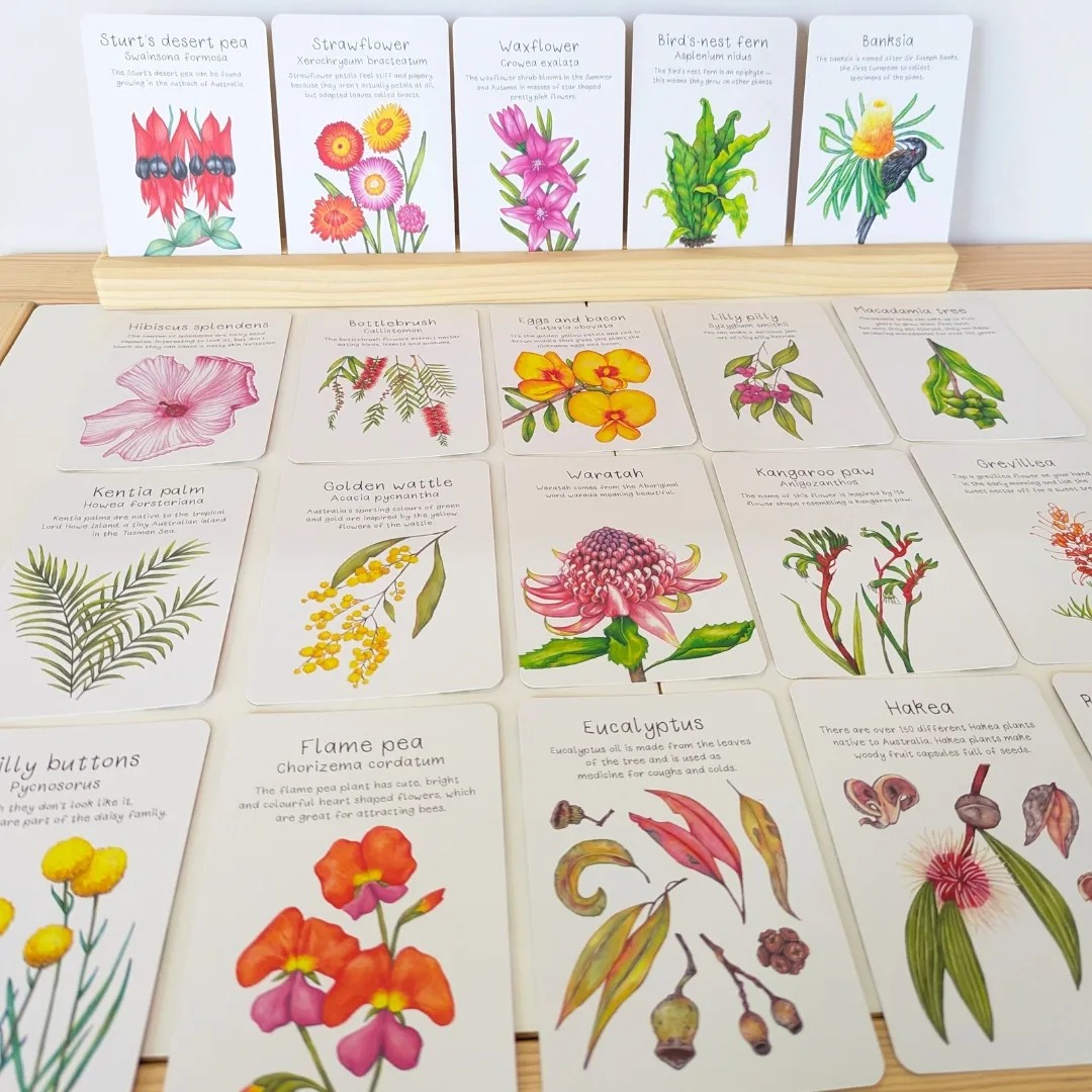 Learn Native Plants Flash Cards